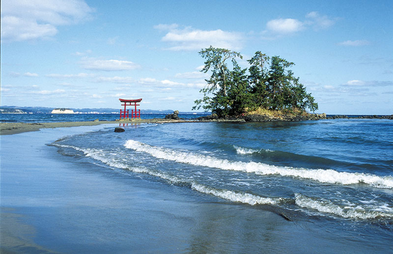 恋路海岸 イメージ