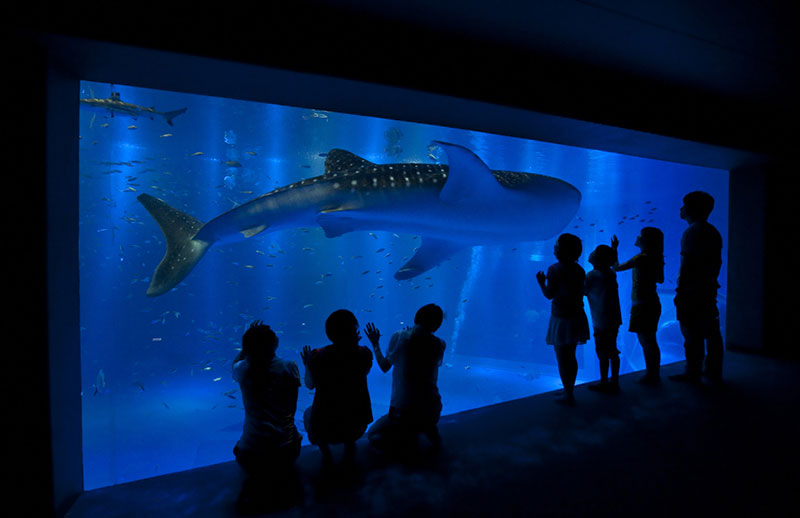 のとじま水族館 イメージ